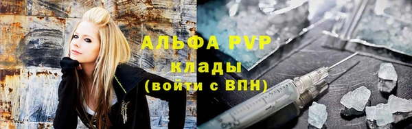 СК Алексеевка