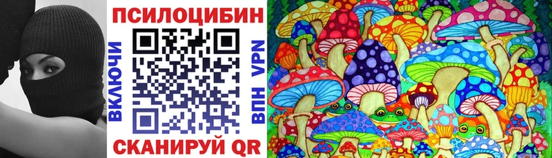 Галлюциногенные грибы Psilocybine cubensis Амурск