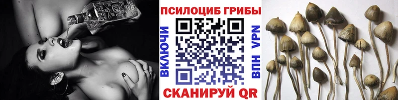 хочу наркоту  Амурск  blacksprut ONION  Псилоцибиновые грибы Psilocybe 